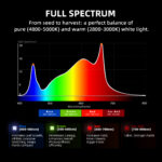 2025 Spider Farmer® 10’x5’X6.5′ Complete Grow Tent Kit丨2 X Newest Version G1000W Full Spectrum LED Grow Light丨6” Clip Fan丨6” Ventilation System | APP Control via Bluetooth & Wi-Fi for Automated Lighting, Ventilation & Circulation - Image 16