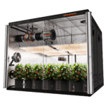 2025 Spider Farmer® 8’X8’X6.5′ Complete Grow Tent Kit丨4 x Newest Version SF4000 Full Spectrum LED Grow Light丨2025 6” Clip Fan丨2025 6” Ventilation System with Smart GGS Controller