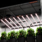 Spider Farmer®SE1000W LED Grow Light Samsung LM301H EVO Bluetooth & WiFi Smart APP Control Dimmable Commercial Vertical Farming - Image 7